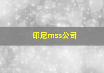 印尼mss公司