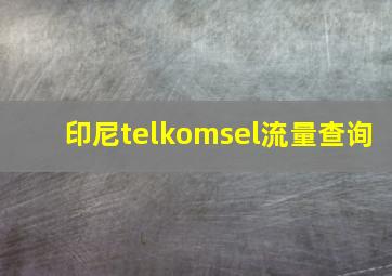 印尼telkomsel流量查询