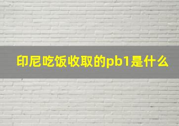 印尼吃饭收取的pb1是什么