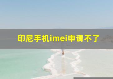 印尼手机imei申请不了