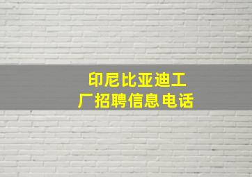 印尼比亚迪工厂招聘信息电话