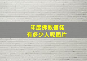 印度佛教信徒有多少人呢图片