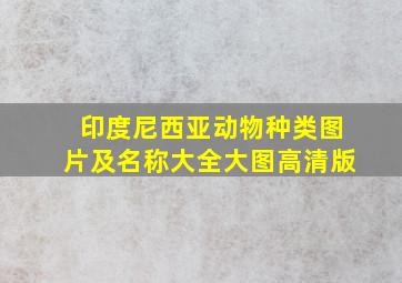 印度尼西亚动物种类图片及名称大全大图高清版