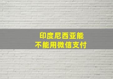 印度尼西亚能不能用微信支付