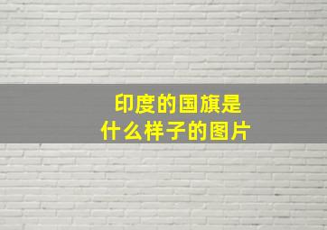 印度的国旗是什么样子的图片