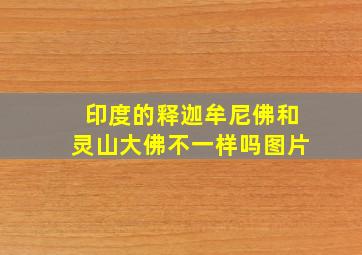 印度的释迦牟尼佛和灵山大佛不一样吗图片