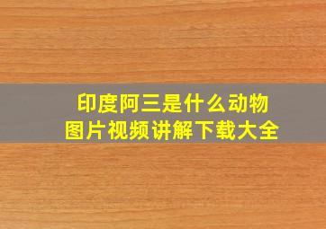 印度阿三是什么动物图片视频讲解下载大全