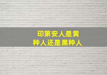 印第安人是黄种人还是黑种人