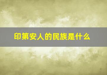 印第安人的民族是什么