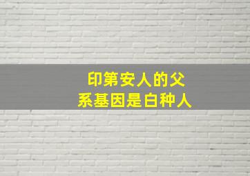 印第安人的父系基因是白种人