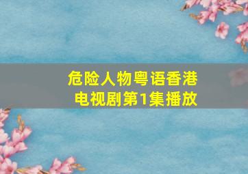 危险人物粤语香港电视剧第1集播放