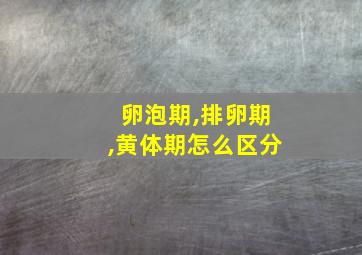 卵泡期,排卵期,黄体期怎么区分