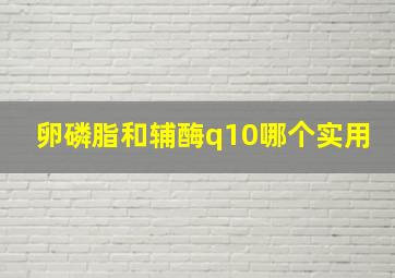 卵磷脂和辅酶q10哪个实用