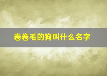 卷卷毛的狗叫什么名字