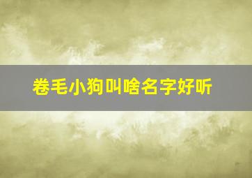 卷毛小狗叫啥名字好听