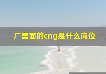 厂里面的cng是什么岗位