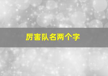 厉害队名两个字