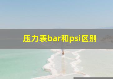 压力表bar和psi区别