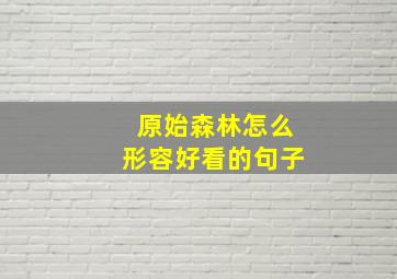 原始森林怎么形容好看的句子