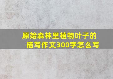 原始森林里植物叶子的描写作文300字怎么写