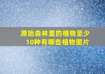 原始森林里的植物至少10种有哪些植物图片