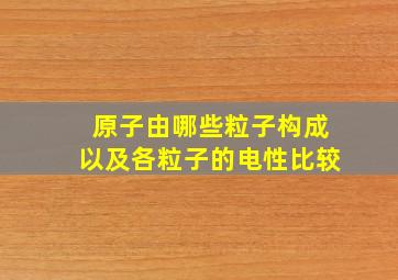 原子由哪些粒子构成以及各粒子的电性比较