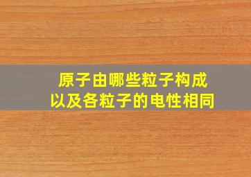 原子由哪些粒子构成以及各粒子的电性相同