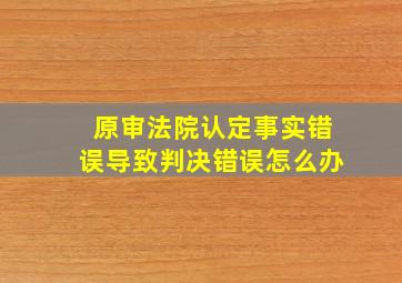 原审法院认定事实错误导致判决错误怎么办