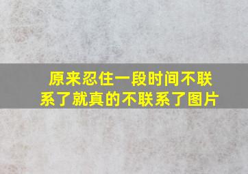 原来忍住一段时间不联系了就真的不联系了图片