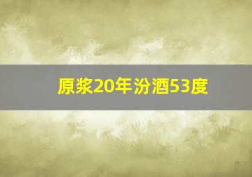 原浆20年汾酒53度