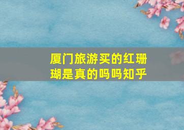 厦门旅游买的红珊瑚是真的吗吗知乎