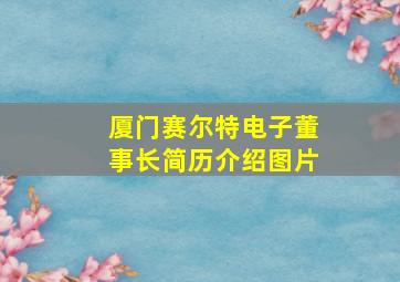 厦门赛尔特电子董事长简历介绍图片