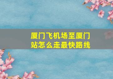 厦门飞机场至厦门站怎么走最快路线