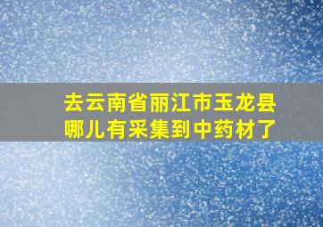 去云南省丽江市玉龙县哪儿有采集到中药材了