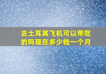 去土耳其飞机可以带吃的吗现在多少钱一个月