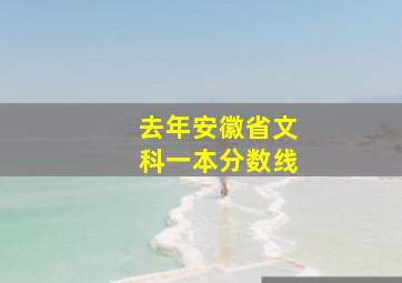 去年安徽省文科一本分数线