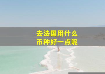 去法国用什么币种好一点呢