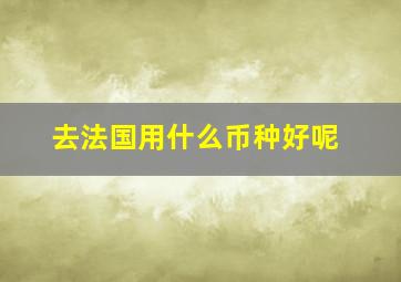 去法国用什么币种好呢