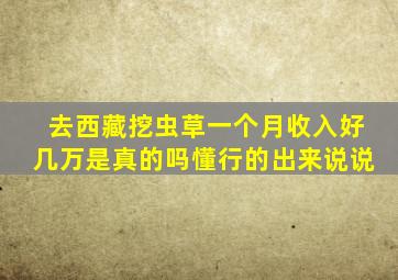 去西藏挖虫草一个月收入好几万是真的吗懂行的出来说说