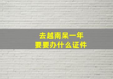 去越南呆一年要要办什么证件