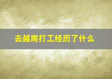 去越南打工经历了什么