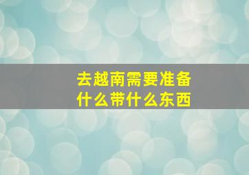 去越南需要准备什么带什么东西