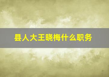 县人大王晓梅什么职务