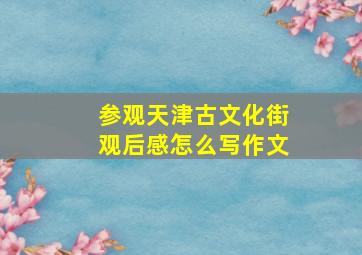 参观天津古文化街观后感怎么写作文