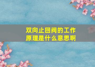 双向止回阀的工作原理是什么意思啊