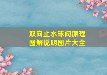 双向止水球阀原理图解说明图片大全