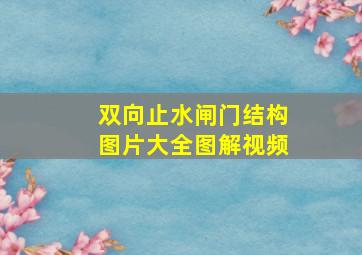 双向止水闸门结构图片大全图解视频