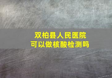 双柏县人民医院可以做核酸检测吗