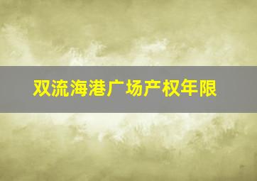 双流海港广场产权年限