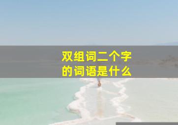 双组词二个字的词语是什么